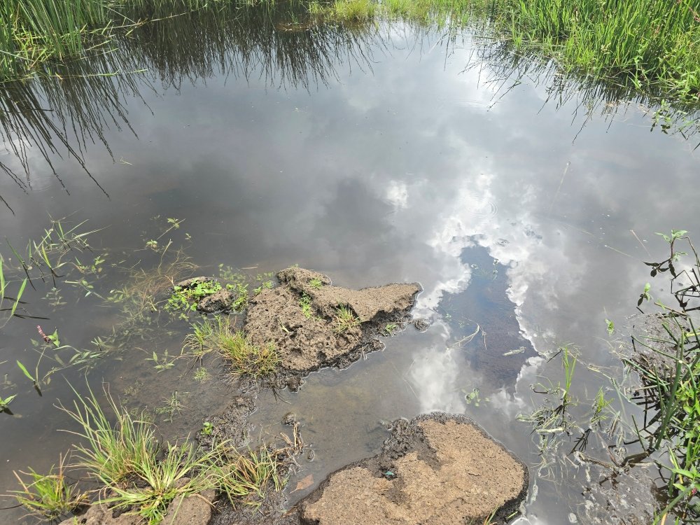 Cyabugurwe-